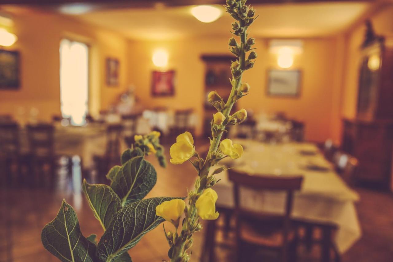 Agriturismo I Suri Asti Eksteriør bilde
