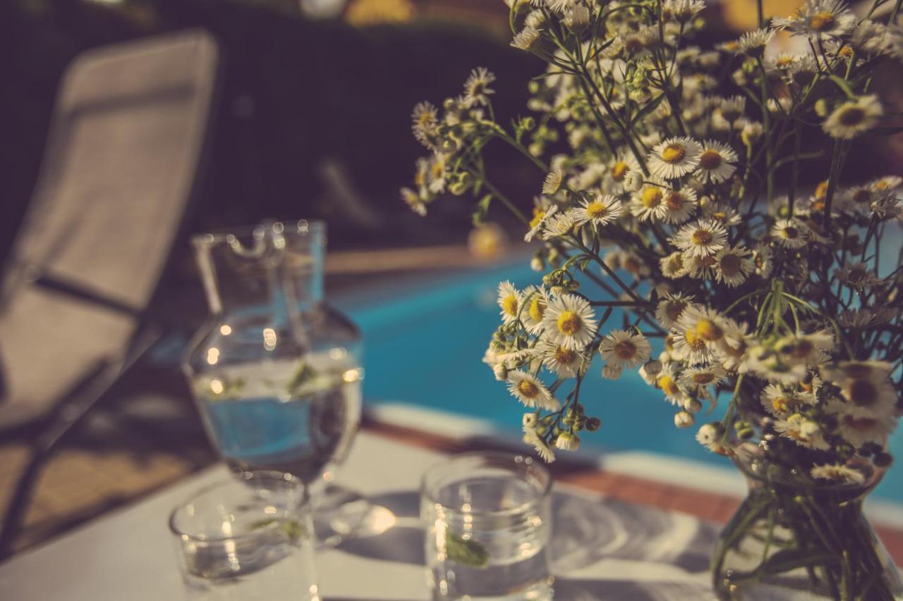 Agriturismo I Suri Asti Eksteriør bilde