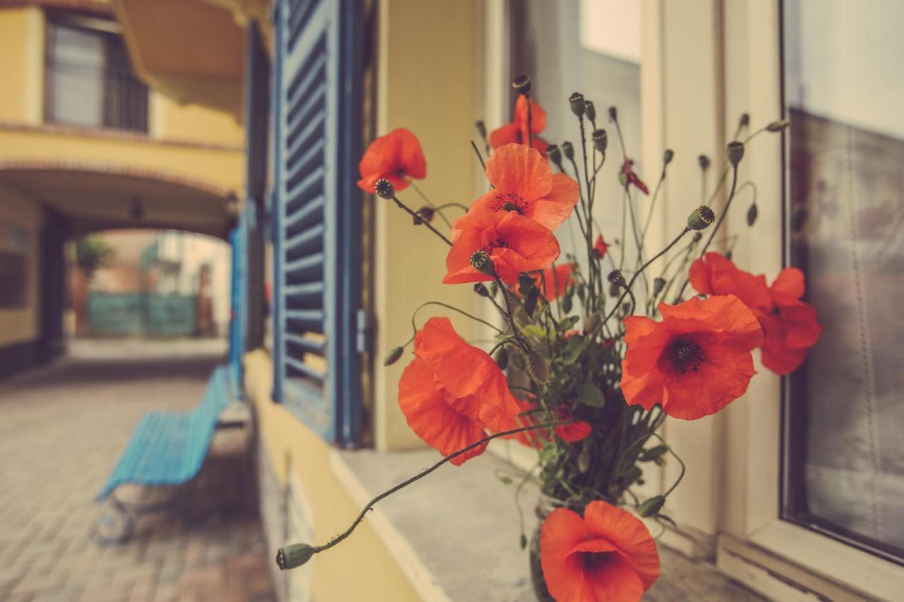 Agriturismo I Suri Asti Eksteriør bilde